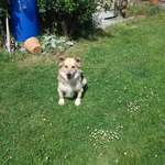 Ersteller:in Kornelia Urbanowski Profilbild