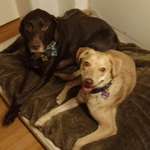 Ersteller:in Ingo Profilbild