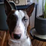 Ersteller:in Przemysław Profilbild