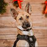 Ersteller:in Lara-Maria Profilbild