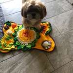 Ersteller:in Sabine Profilbild