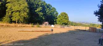 Hundeauslaufgebiet-Viehweide-Bild