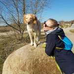 Ersteller:in irena Profilbild