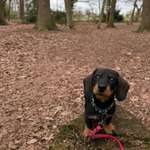 Ersteller:in Nadine Profilbild