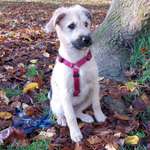 Ersteller:in Patricia Profilbild