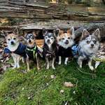 Ersteller:in Stefüü Profilbild