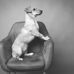 Ersteller:in Silke Profilbild