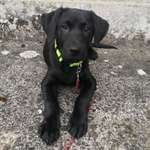 Ersteller:in Natalie Profilbild