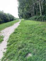 Hundeauslaufgebiet-Hundeplatz Rahel-Varnhagen-Weg-Bild