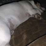 Ersteller:in Daniela Profilbild