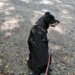 Ersteller:in Sarah Profilbild