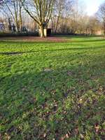 Hundeauslaufgebiet-Bayers Park-Bild