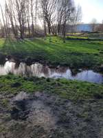 Hundeauslaufgebiet-Hundewiese Hemmoor-Bild