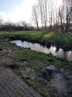 Hundeauslaufgebiet-Hundewiese Hemmoor-Bild