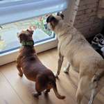 Ersteller:in Ari Profilbild