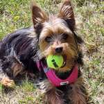 Ersteller:in Tina Profilbild