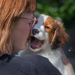 Ersteller:in Cerstin Profilbild