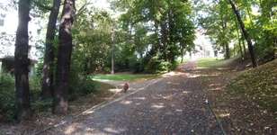 Hundeauslaufgebiet-Grünanlage August-Bebel-Hain-Bild