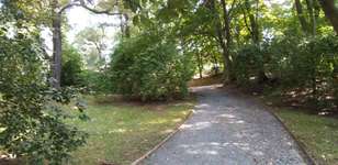 Hundeauslaufgebiet-Grünanlage August-Bebel-Hain-Bild