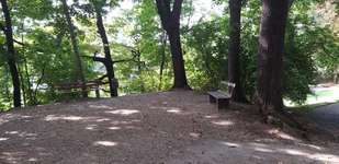 Hundeauslaufgebiet-Grünanlage August-Bebel-Hain-Bild