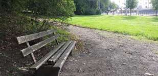 Hundeauslaufgebiet-Grünanlage August-Bebel-Hain-Bild