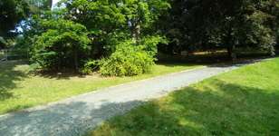 Hundeauslaufgebiet-Grünanlage August-Bebel-Hain-Bild