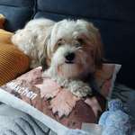 Ersteller:in Tina Profilbild