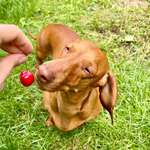 Ersteller:in Silke Profilbild