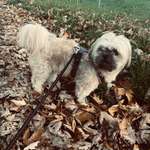 Ersteller:in Lena Profilbild