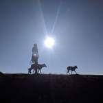 Ersteller:in Tina Profilbild