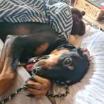 Ersteller:in Yvonne Profilbild