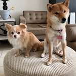 Ersteller:in Oriana Profilbild