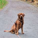 Ersteller:in Susan Profilbild