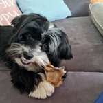 Ersteller:in Diana Profilbild