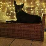 Ersteller:in Kyra Profilbild