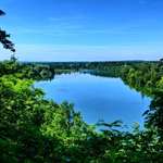 Hundeauslaufgebiet-Pösinger Au - Waldgebiet am Lech-Bild