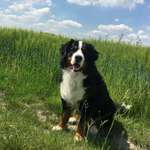 Ersteller:in Leo Profilbild