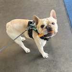 Ersteller:in Jiawen Profilbild