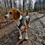 Ersteller:in Jessica Profilbild