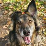 Ersteller:in Eva Profilbild