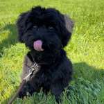 Ersteller:in Janina Profilbild