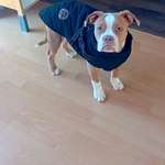 Ersteller:in Manuel Profilbild