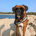 Ersteller:in Annett Profilbild