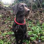 Ersteller:in Katharina Profilbild