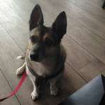 Ersteller:in Stefanie Profilbild