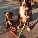 Ersteller:in Dariusz Profilbild