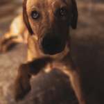 Ersteller:in Henning Profilbild