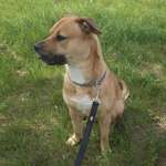 Ersteller:in Jacqueline Profilbild