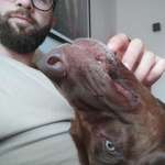 Ersteller:in David Profilbild