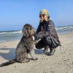 Ersteller:in Ina Profilbild